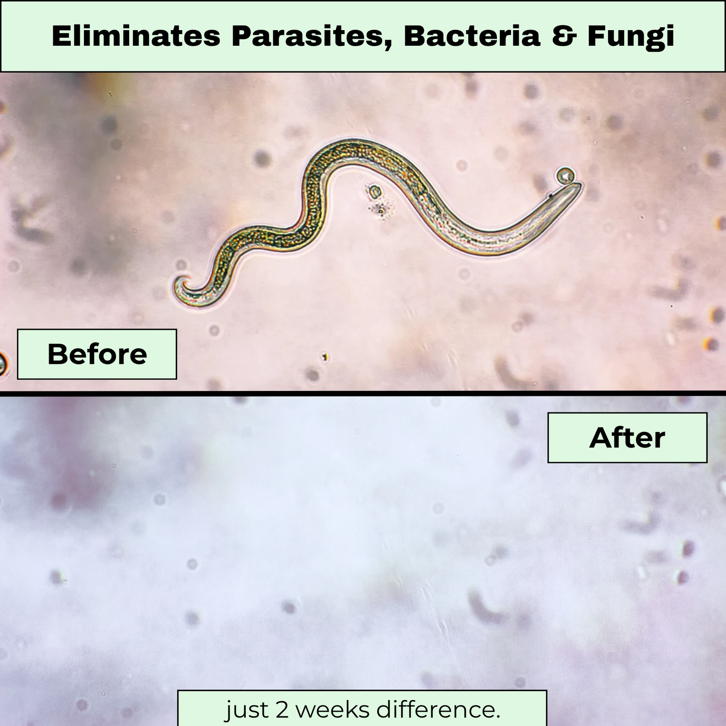 OregaPlus™ - Oil of Oregano